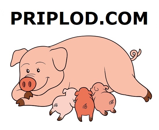 PRIPLOD.COM